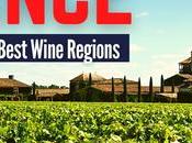 Best Wine Regions France Tours