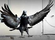 Angels, Demons, False Gods More