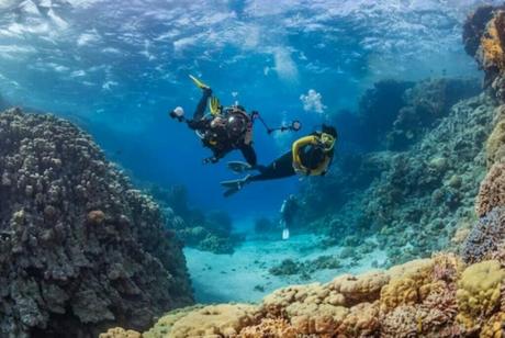 Diving and Snorkeling