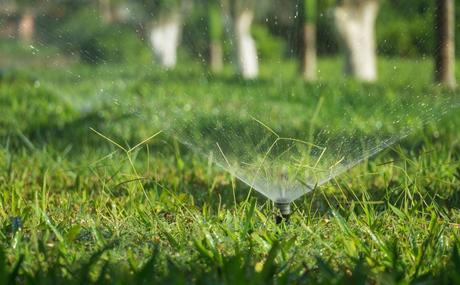 10 Essential Lawn Maintenance Tips for Homeowners