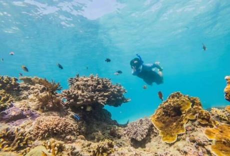 Sunken Rock A Hidden Gem for Snorkelers