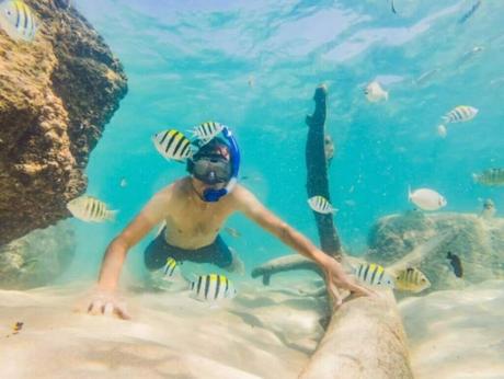 Unveiling Antigua's Hidden Snorkeling Paradises