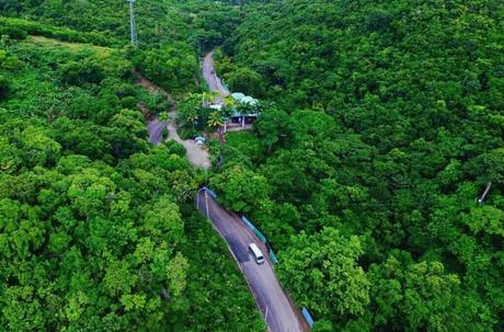 Rainforest Overview Biodiversity and Importance