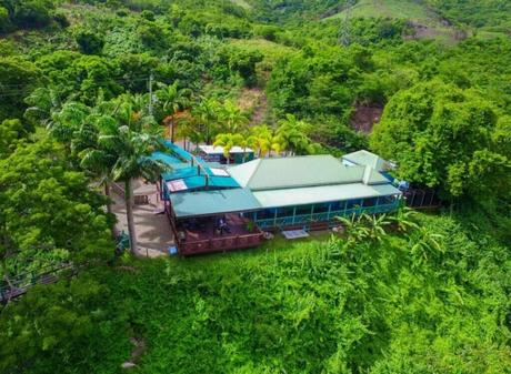 Antigua Rainforest Canopy Tour Adrenaline-Pumping Adventure