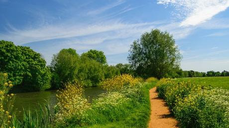 What are the Best Long-Distance Hiking Trails in the UK?