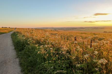 What are the Best Long-Distance Hiking Trails in the UK?