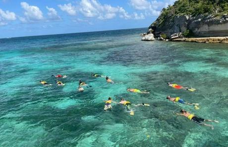 Great Bird Island Nature Reserve and Snorkeling Haven