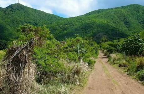 Boggy Peak Antigua's Highest Point and Volcanic Remnant