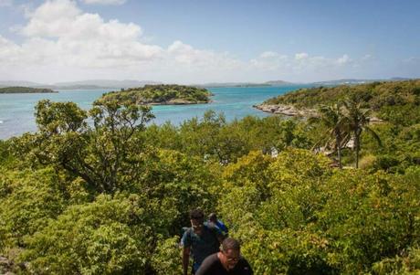 Great Bird Island Avian Diversity and Coastal Birdwatching