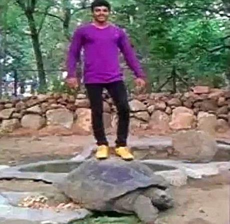 plight of Zoo animals and the foolish man who stood on tortoise !