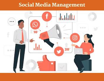 What is social media management, and its importance for business?