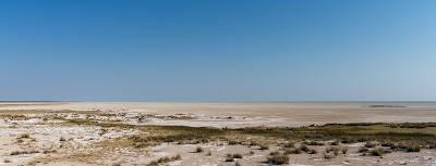 NAMIBIA: Spectacular Dunes and Abundant Wildlife, Part II, Guest Post by Owen Floody.