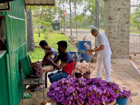 men-preparing-colourful-flowers-for-use-as-offerings-in-anuradhapura-sacred-city