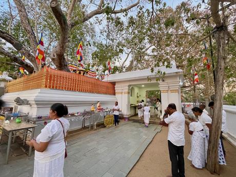 people-praying-at-Jaya-Sri-Maha-Bodhi-Tree-one-of-the-most-sacred-places-to-visit-in-Anuradhapura