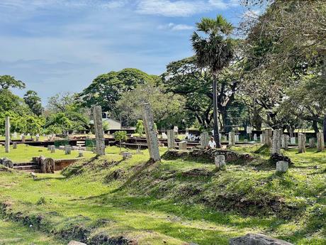 greenery-and-ancient-columns-in-anuradhapura-sri-lanka