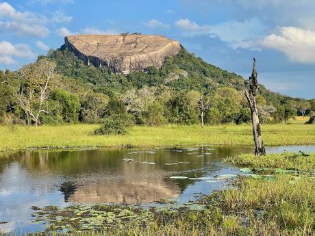 pidurangala-rock-with-reflection-in-water-of-a-lake