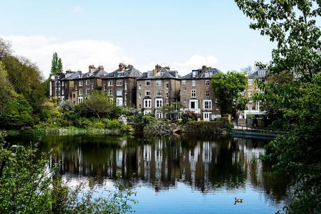 Hampstead-ponds-with-houses-behind-a-great-place-for-dog-walks-in-london