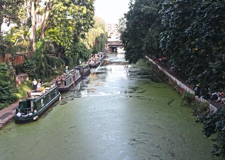 Islington-canal-and-one-of-the-best-dog-friendly-pubs-in-london