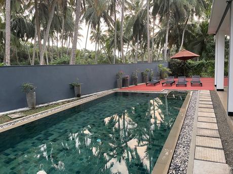 swimming-pool-with-palm-trees-reflected