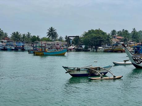 boats-in-mirissa-harbour