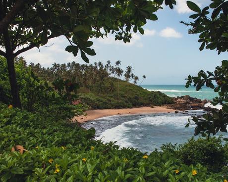 view-from-hotel-in-mirissa