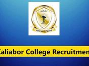 Kaliabor College Recruitment 2023 Assistant Professor Posts