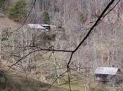 Rosie's World (repost)