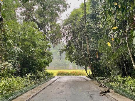 royal-botanical-gardens-in-kandy