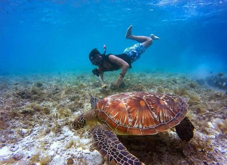 Tourism and Recreation Comparing the Leisure Activities in Aruba and St. Eustatius