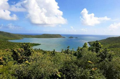 Cultural Heritage Exploring the Rich History and Traditions of Aruba and Martinique