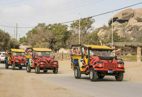 Outdoor Activities Comparing the Adventure Opportunities in Aruba and Martinique