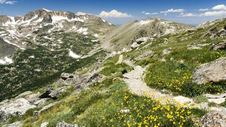 What are the Best Long-Distance Hiking Trails in the US?