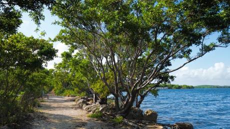 What are the Best Long-Distance Hiking Trails in the US?