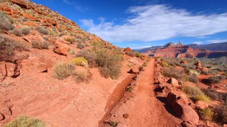 What are the Best Long-Distance Hiking Trails in the US?