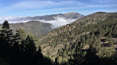 What are the Best Long-Distance Hiking Trails in the US?