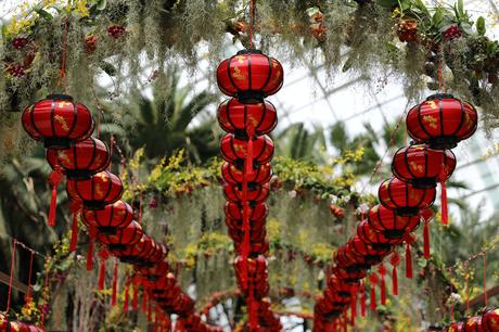 Torches and Lanterns