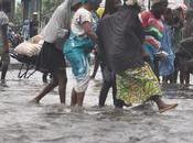 Business Ideas This Rainy Season Nigeria