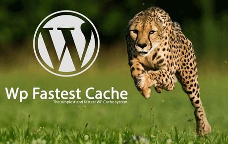 WP Super Cache vs WP Fastest Cache: Best Performance and Caching Plugins ?