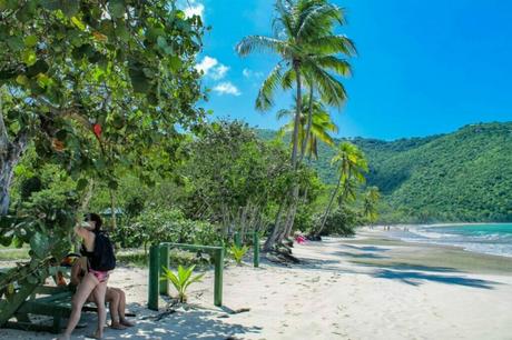 Climate and Weather Exploring the Contrasting Climates of Aruba and St. Thomas Parish