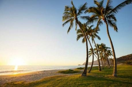 A Clash of Tropical Paradises - Honolulu and Miami