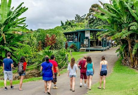 Choosing Your Destination Factors to Consider When Deciding Between Kona and Honolulu