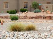 Xeriscaping Maintenance Tips: Ways Take Care Your Garden