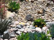 Xeriscaping Traditional Landscaping: Which Suits You?