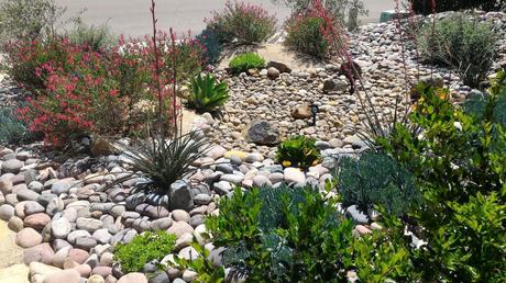 Xeriscaping vs Traditional Landscaping: Which One Suits You?