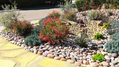 8 Xeriscaping Benefits You Should Not Ignore