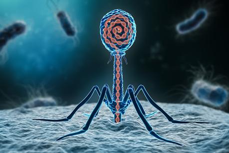 Bacteriophage Therapy Market