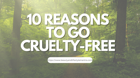 10 Reasons to Go Cruelty-Free: Making Ethical Choices for a Better World