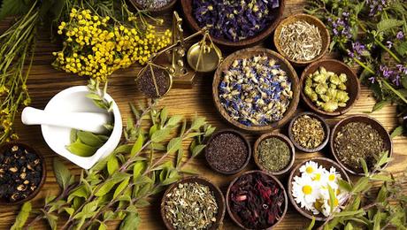 Herbal Medicinal Products