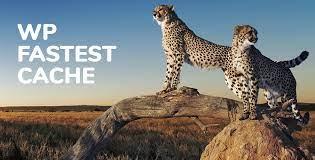 WP Fastest Cache vs Hummingbird: Best Plugins in Performance and Cache