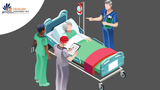 Get the Best Nursing Assignment Help Writing Service From Us Online.